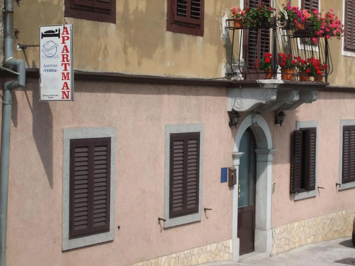 Apartments Vesna Icici